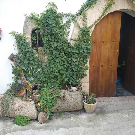 Pavet