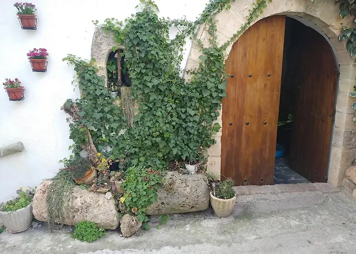 Pavet